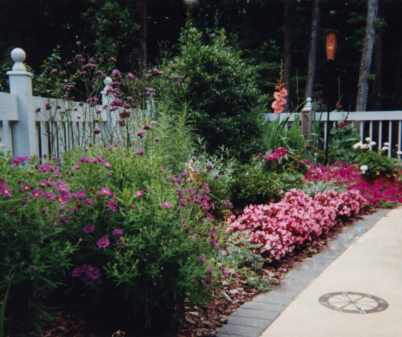 Sunny side yard perennial garden